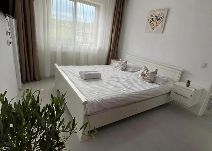 Floresti Apartment *